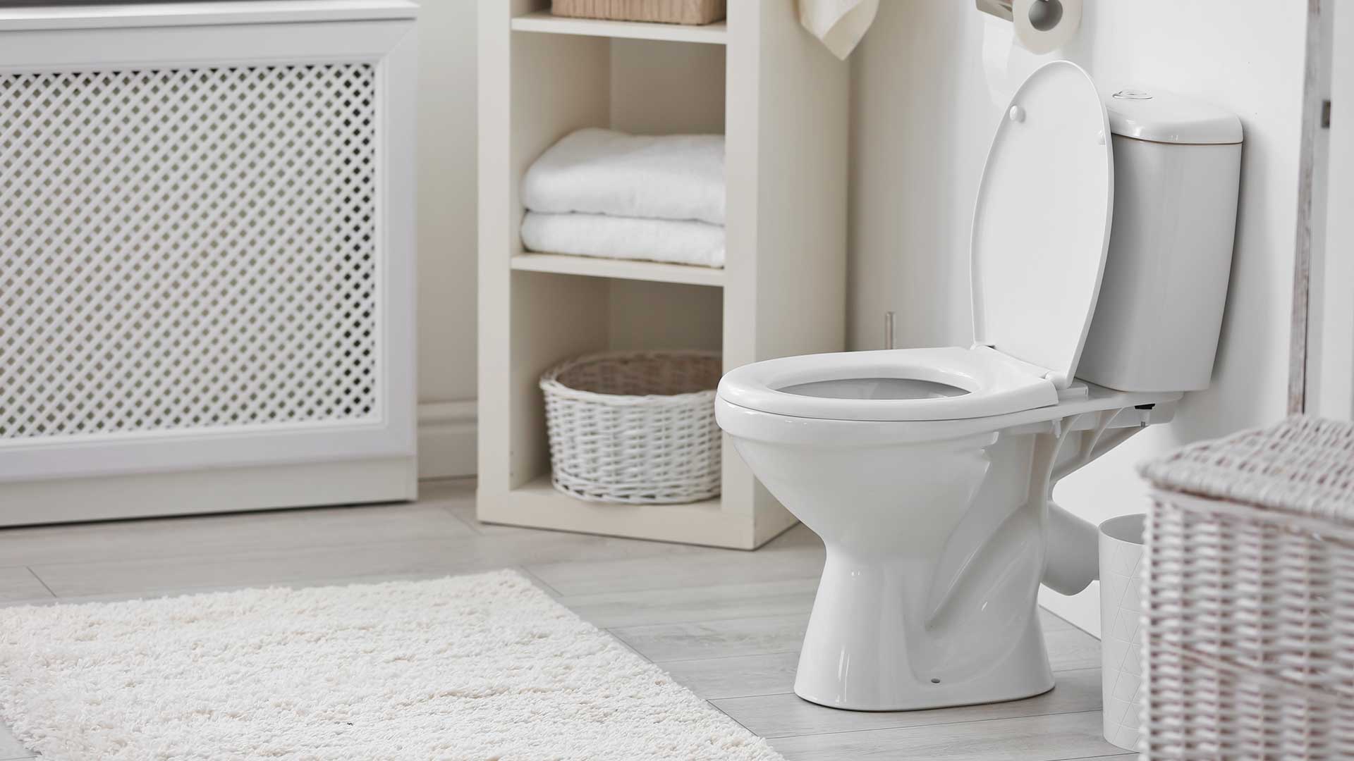 5 Reasons Your Toilet Keeps Clogging